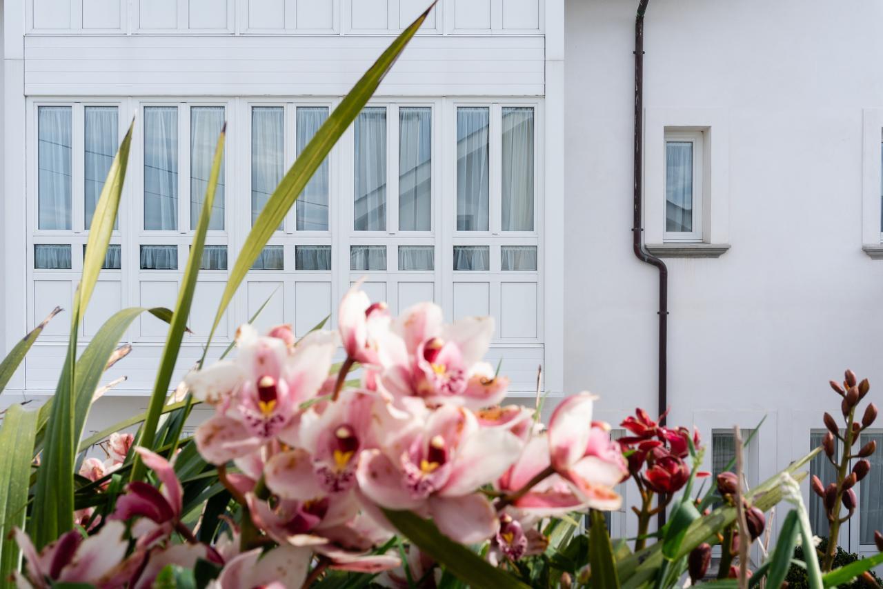 La Casa De Las Camelias Busto 外观 照片